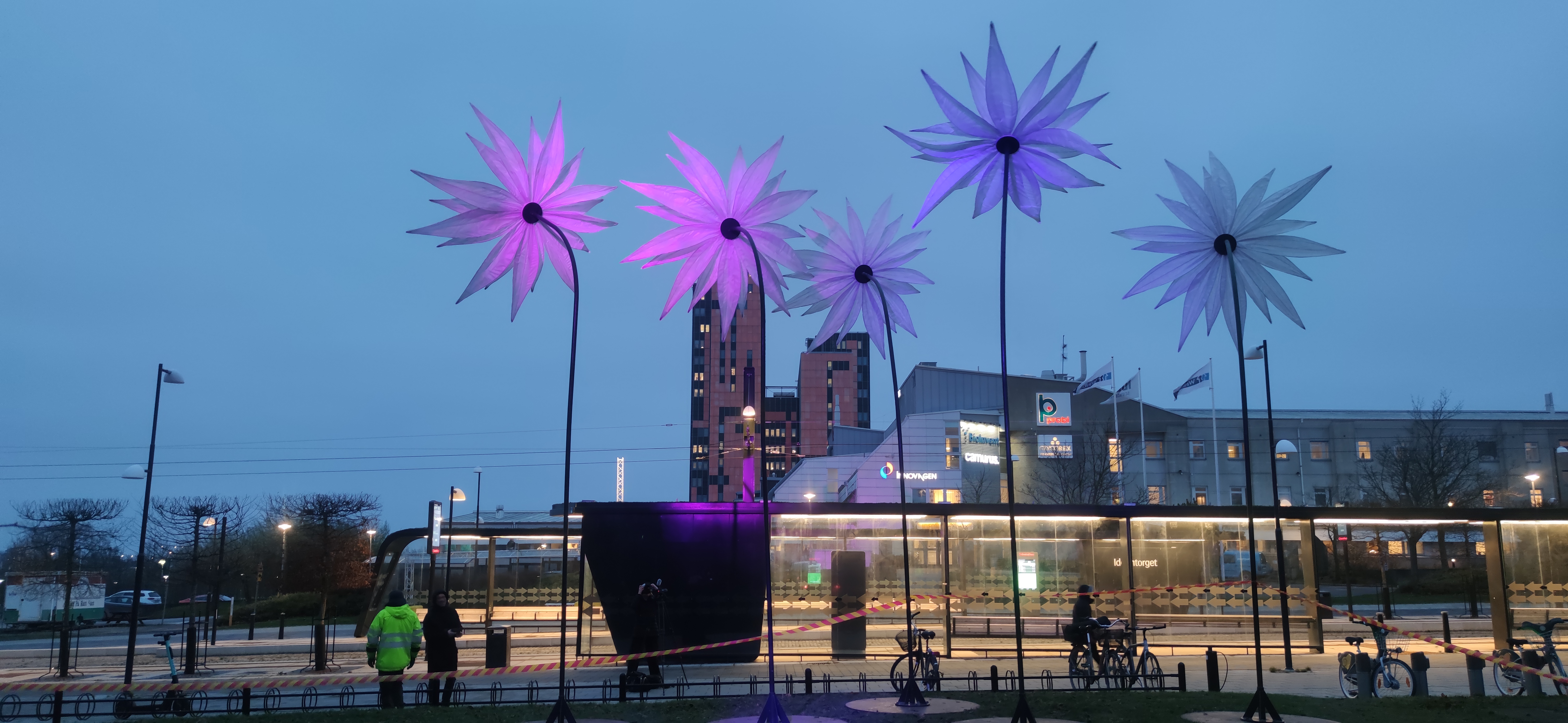 Blommor ljusinstallation ljusfestival