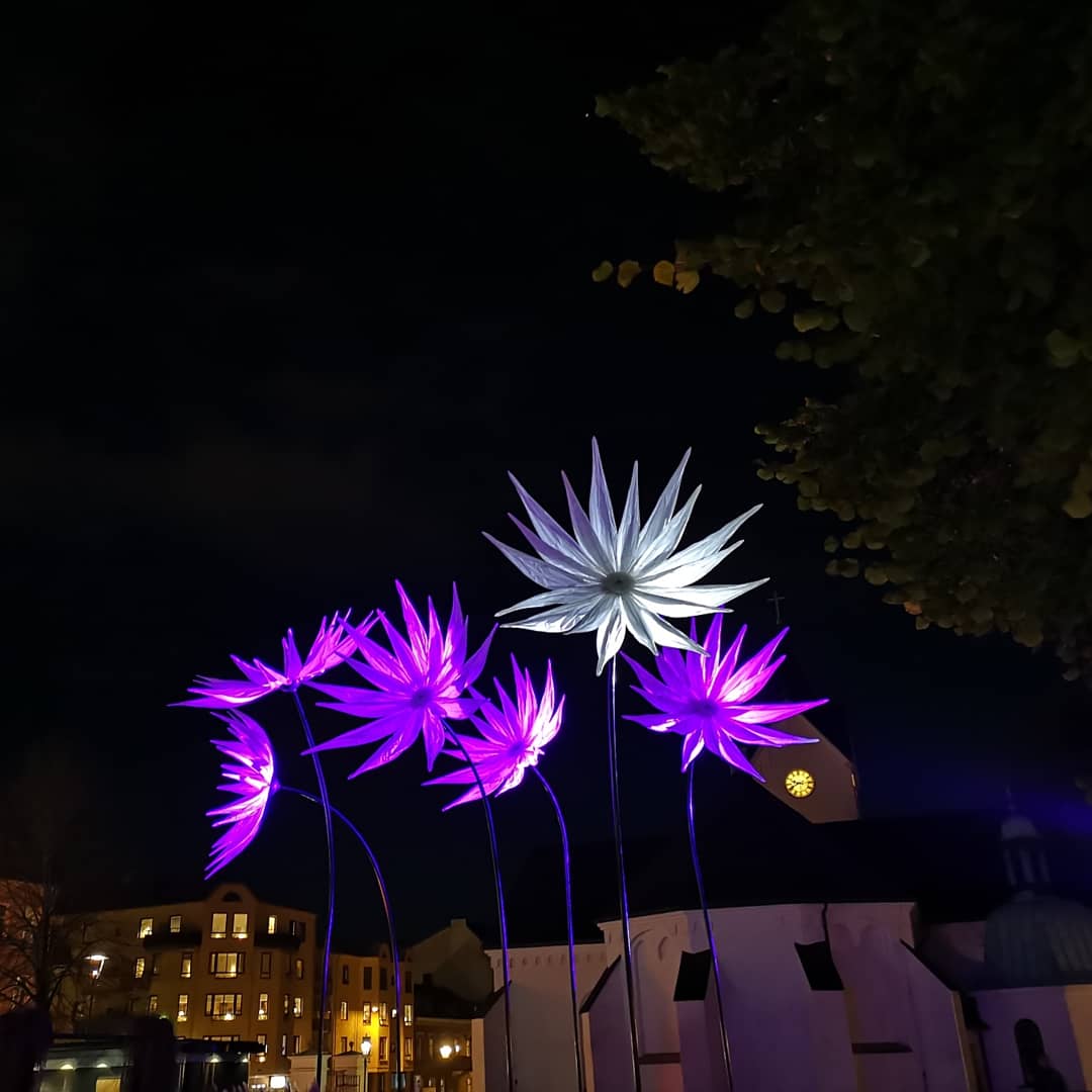 Blommor på ljusfestival