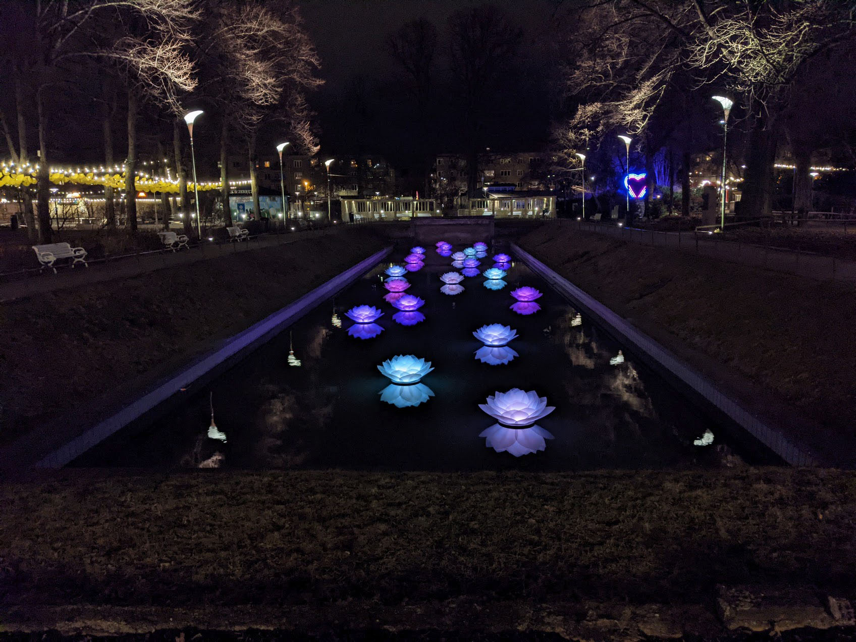 Näckrosor i fontänerna vid Folkets Park Malmö